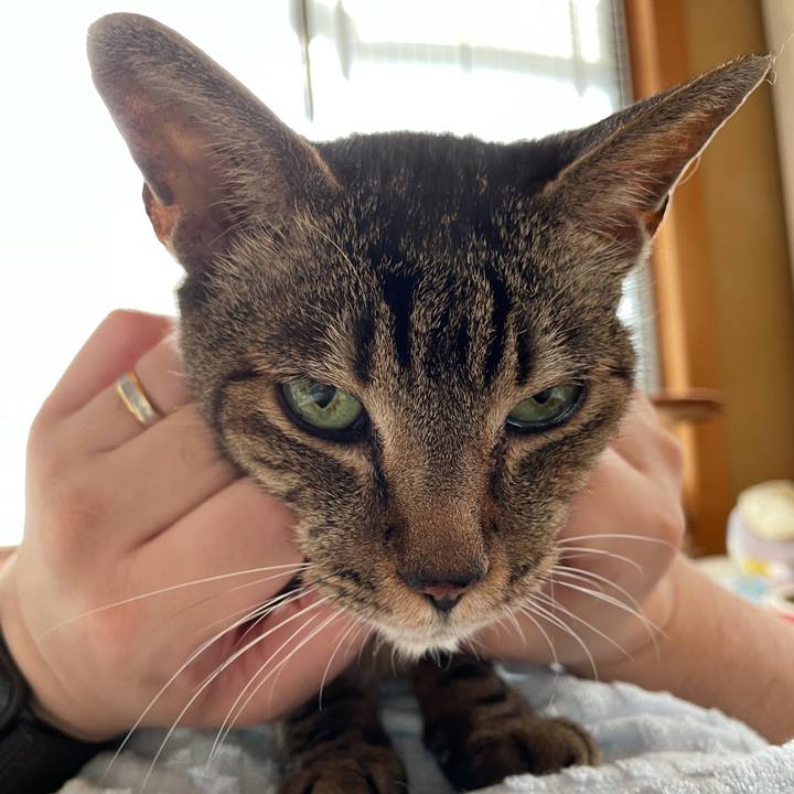 43189314 8a2c 4809 ba91 8d6b6e9edf35 1625191644740