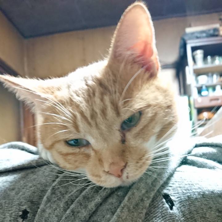 43189661 1530 4268 9c71 cd4abb184e0f 1571576176986