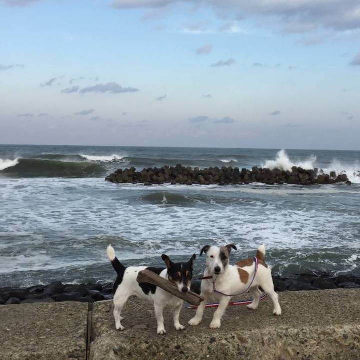 4318d3f1 ca20 4e9a 8646 580c482c397c 1730333120764