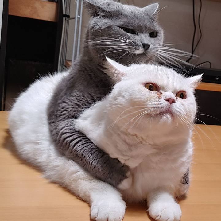 4318d50b 2847 47a3 8b18 d96b7a9936ed 1697546386660