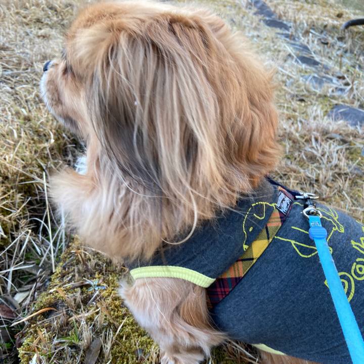 4318fd23 2dcf 4fd7 a8e5 6935df5dee99 1647036198288