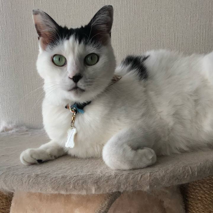 43192de6 8f88 4cfb 8041 87820028b622 1541028118462