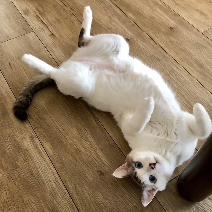 43194aa9 e5d9 4a90 9efa 971925a948ec 1602033723306