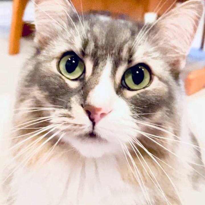 43195f0a d539 42cb a81f 583d2eca4289 1751211150635