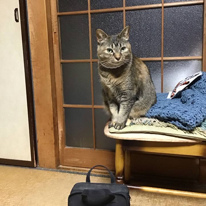 43196550 bead 4957 b374 d4b848e03335 1746617807088