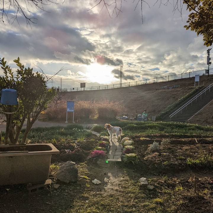 43199496 611d 4110 a102 e86eb937f67e 1641979291681