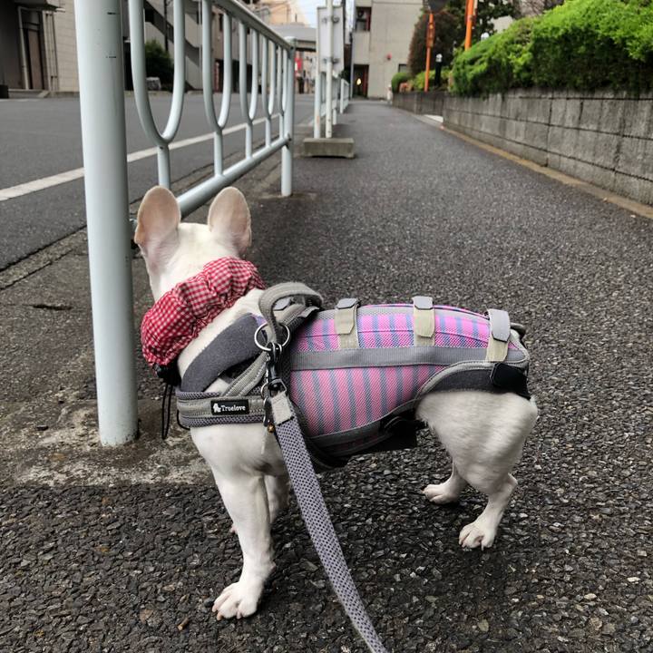 4319c267 dd6c 4403 8865 81c80e562237 1684453425267