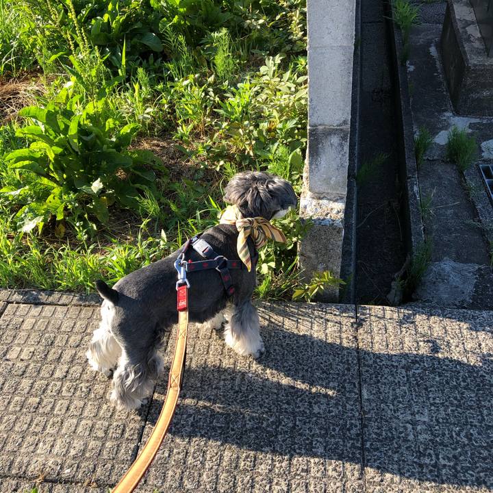 4319ecf3 70d5 401e b7c3 fcba09223d11 1656717968273