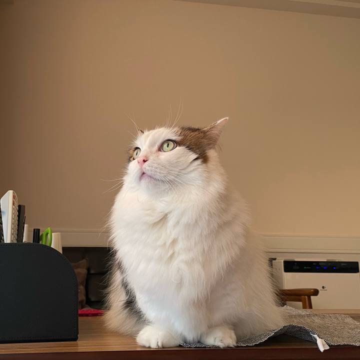 431a0866 19f5 44a0 b2ed dd9f4e1bd9f3 1765857236321