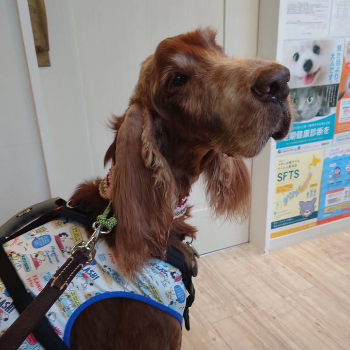 431a0a54 52d9 4bc3 a200 53f6be36d97c 1725166289083