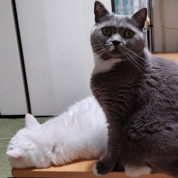 431a36ba d05f 4d2e afb9 b58ab5fc8b2c 1692612470233