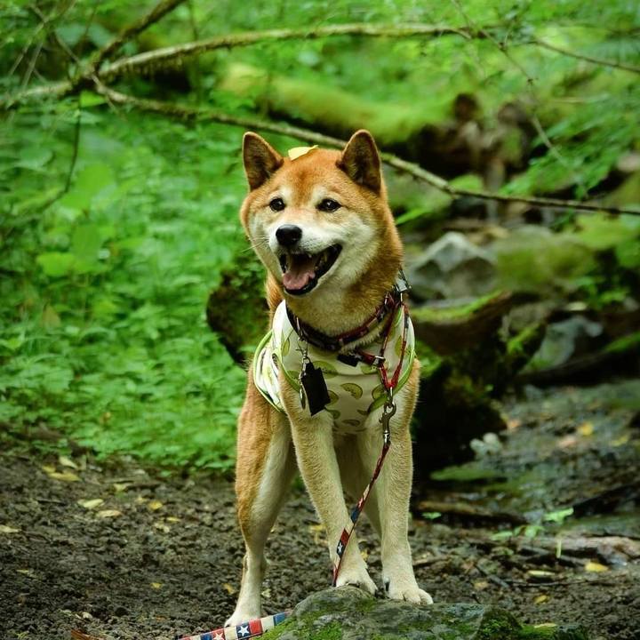 431a65de 46b9 4bc0 af5b a1b577d92177 1689315224792