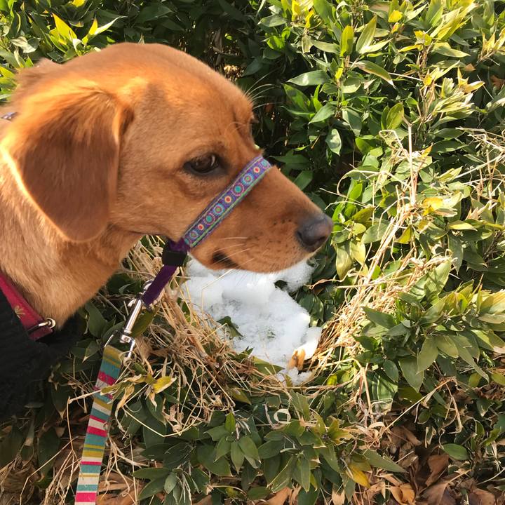 431a6ec5 d7f0 418d aee9 a719b86b2ac6 1517631584184