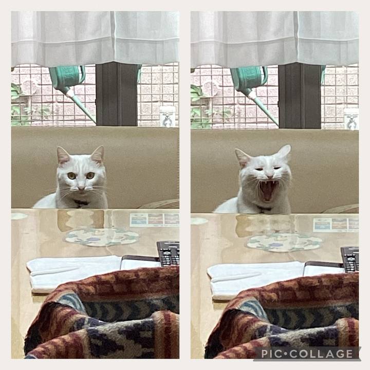 431aa659 7b9d 423c 8c6a c13eb0e25ab4 1664420813979