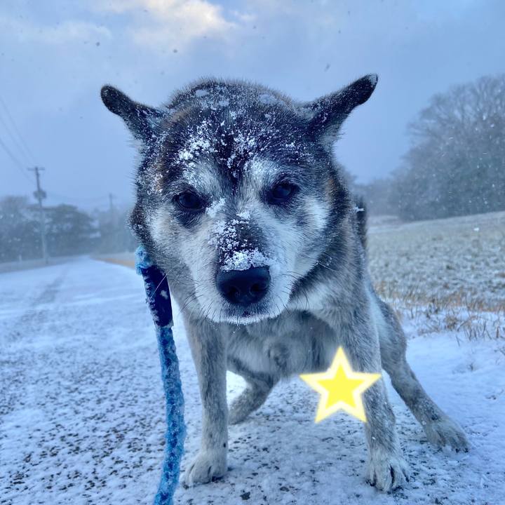 431adeb6 e501 4342 ad05 6f34a4657732 1738709403583