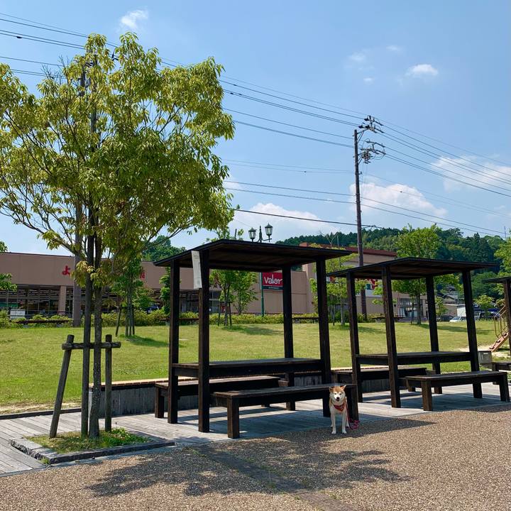 431b09c8 a8ec 49b6 8f4a ed8f5d6c82d7 1623408590263