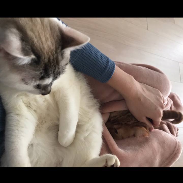 431b3937 2c8c 43e4 8614 8b0cb254b198 1518252474238