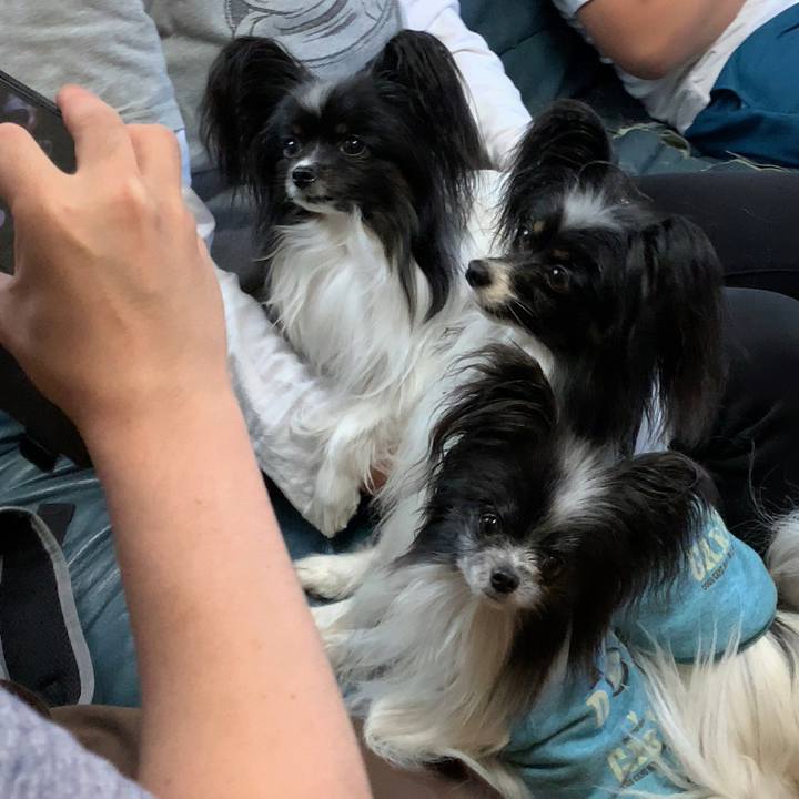 431b52ec 8352 4cfa 9448 19d27b247a21 1620034213740