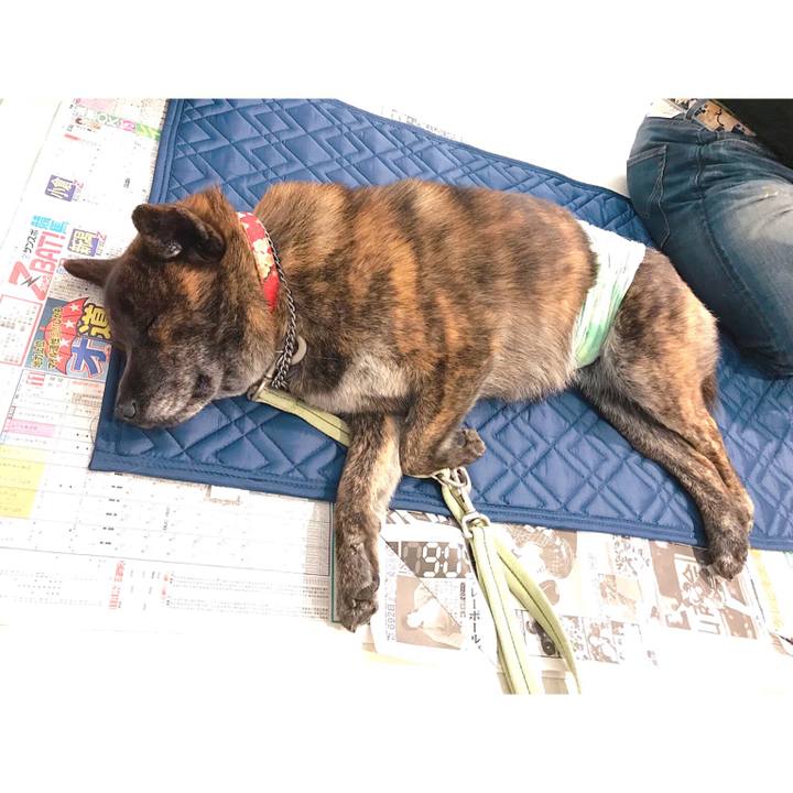 431b5a4b 3846 4a28 b562 d38208409bac 1556876075239