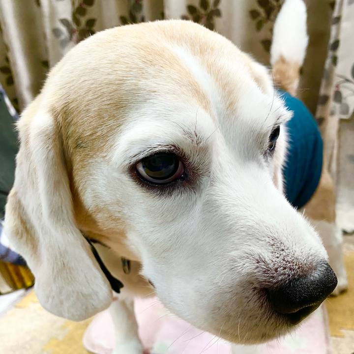 431b614b d0e5 46ce 8de8 19487cfe5d7f 1619669172528