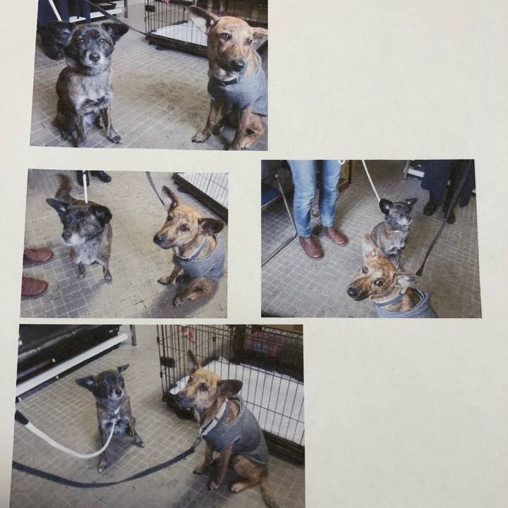 431b7474 cfa9 4601 8513 0b9662aaec77 1578394062780