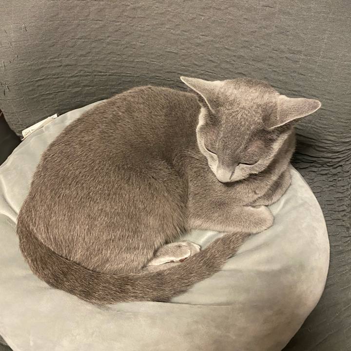 431b7927 d319 40dd a285 4b3571eb148d 1620870793756