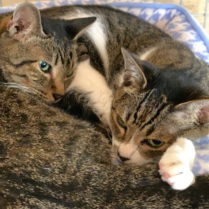 431b8bd5 310b 4139 bdc0 2fcd826b9420 1601860230600