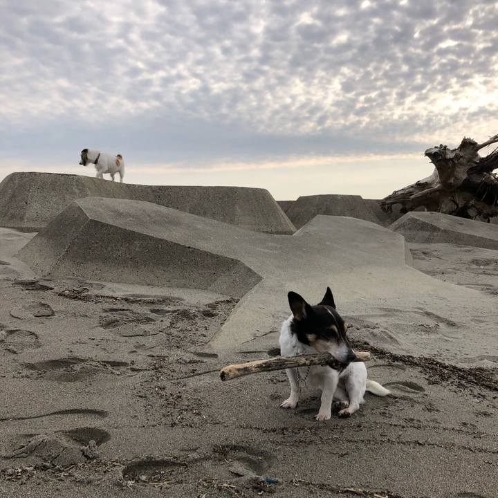 431baf02 bcad 44aa b8ff b130bc3d650f 1585955997800