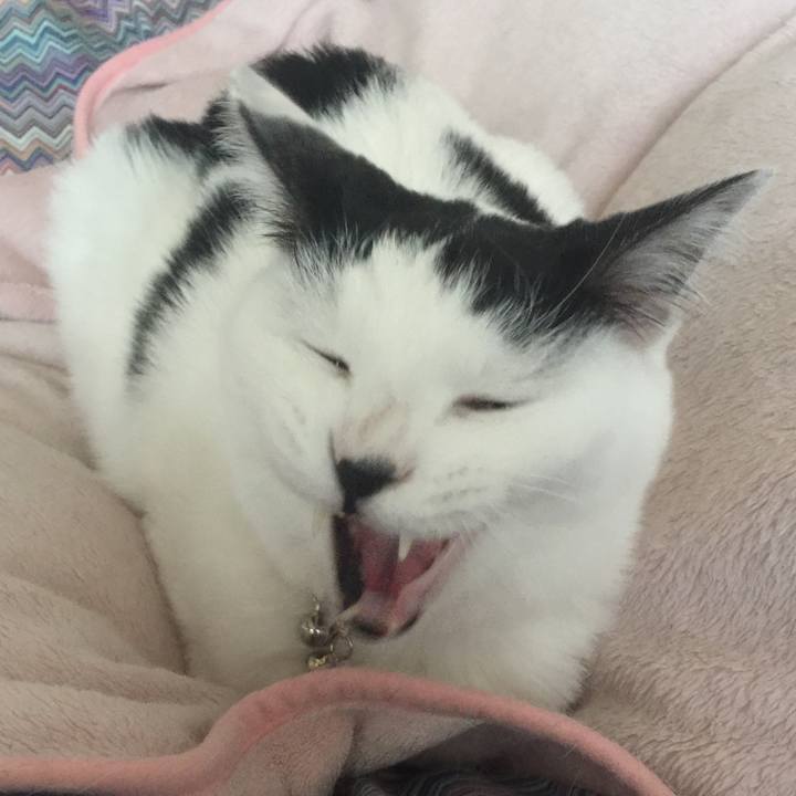 431bc8a6 7a7e 4f44 a401 9ec7b48ff303 1512084338563