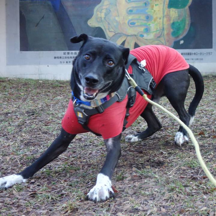 431bd083 343e 4496 afc1 bbce454577a1 1644886933113