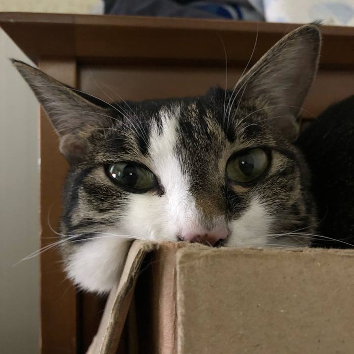 431bdfe7 0f21 4cc7 99fc 854096854d0e 1536266515464