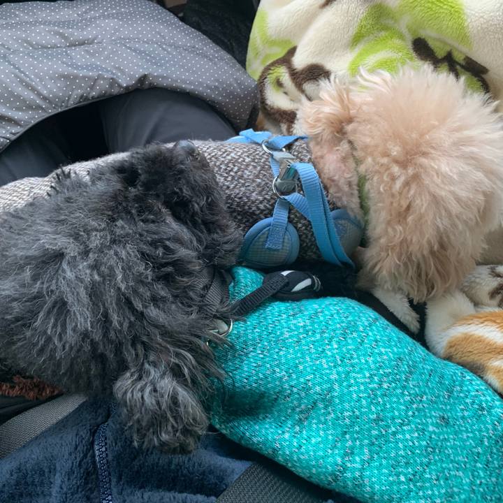 431be408 b1e5 4699 a458 8aa52cbf6502 1578007524607