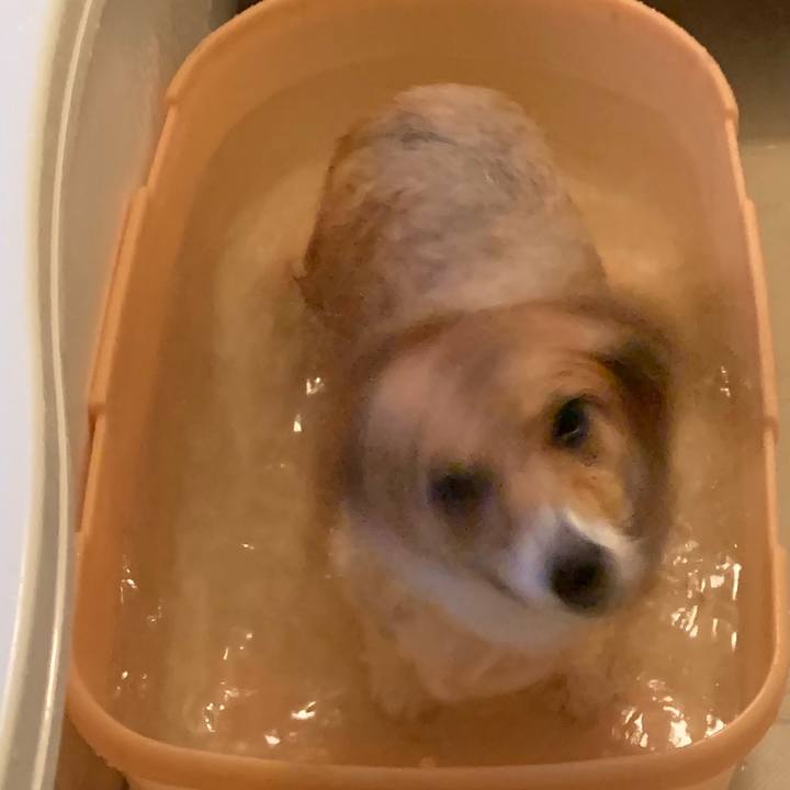 431bf251 25e7 4beb 9fe3 99137bdc714d 1565863390256