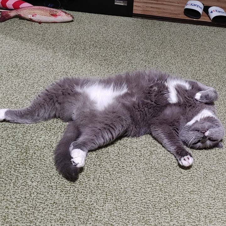 431bf882 3b09 4968 9aa4 5b65956a5a8a 1690028909760