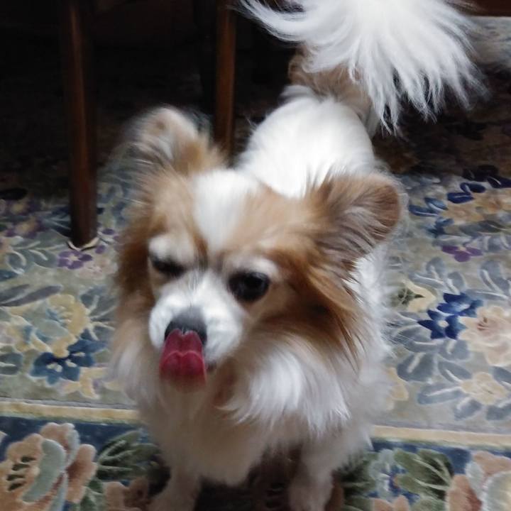 431bfa36 6153 48d4 b7cd 60e770957228 1534658438019