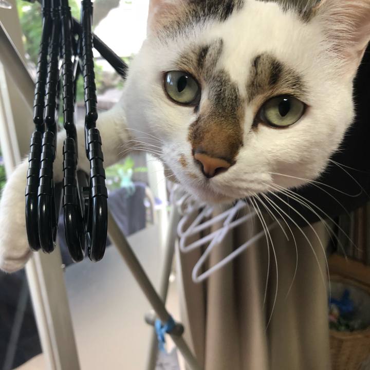 431bfdc4 b776 41d0 b036 951a2e151954 1531404381423