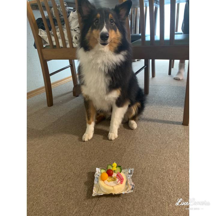 431c5ef9 b441 40df b553 b41d3dbb6179 1566032891218