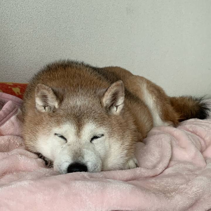 431c8464 8729 403f adfa f5c0f2a35949 1660278429327