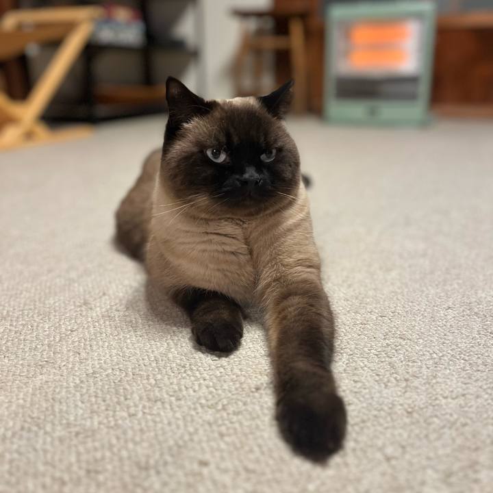 431cb0a6 f361 4cd6 889e 2f8a4bdcdec1 1677473232299