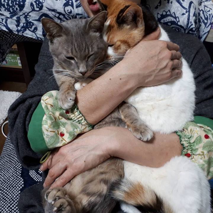 431cf452 3a28 4420 b0fa 12da712c6276 1580464483611