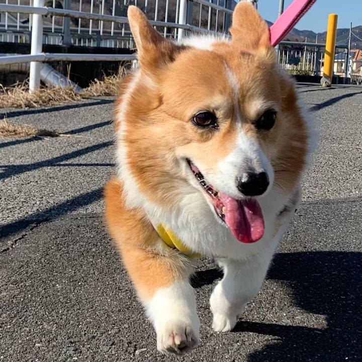 431d085b e500 4147 85b8 3bf486b0d8e6 1706591446431