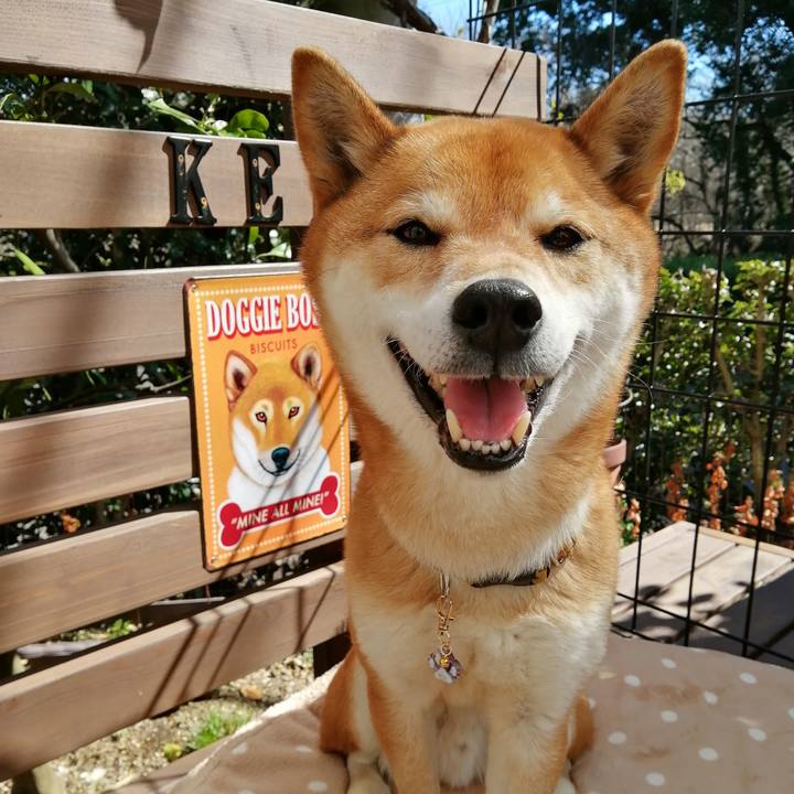 431d4027 bd7d 4805 b6ce 826ceeca20fb 1615783284226