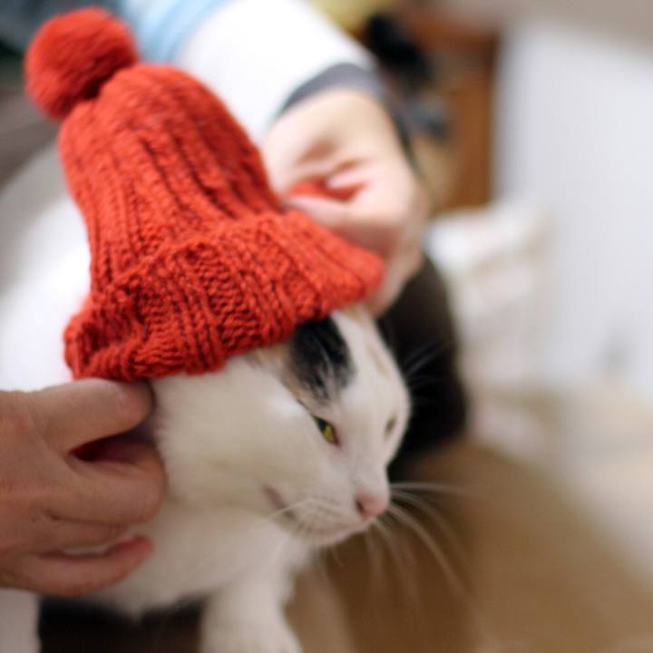 431d580a c6d0 4d61 84c4 b92fd79505ef 1669610938099