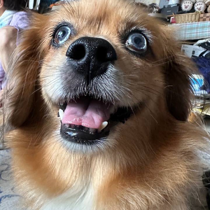 431d819c 6fbb 4dda bdc9 df2e80eef778 1691446599427