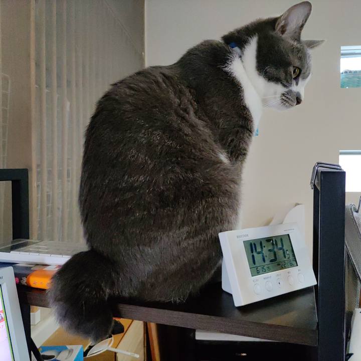 431dd9ec ab5c 40a9 b591 b05094970fc3 1655284649919