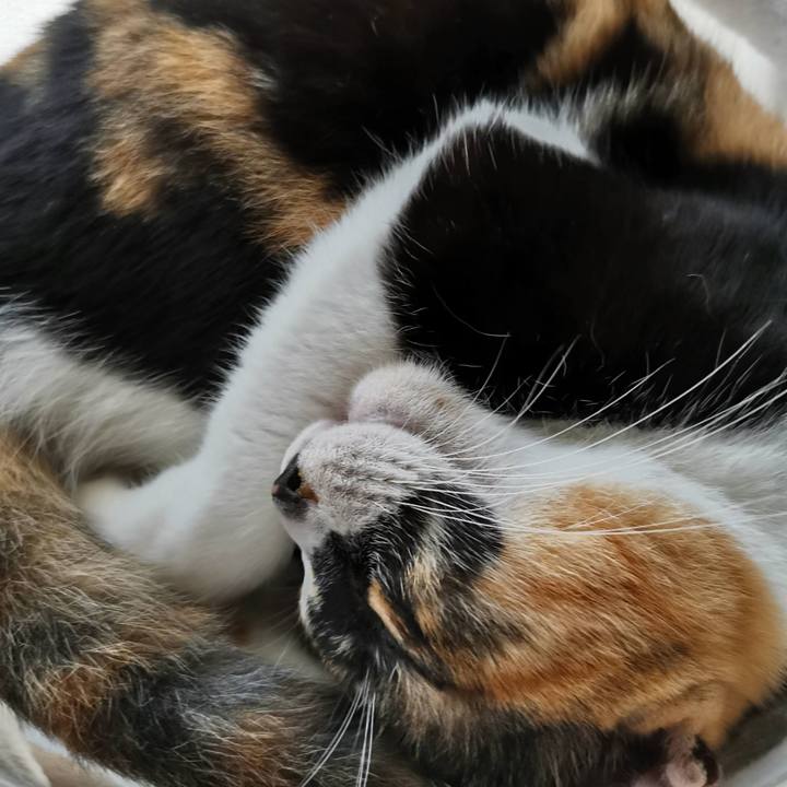 431e0e22 0dbe 4288 93cb fcb122afc2db 1631519034806