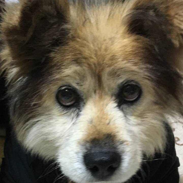 431e2bee d80c 4126 8ad3 660a2ab1eaa1 1604365481973