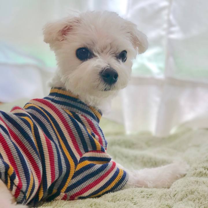 431e91ea 19fb 4ca2 a3a9 6532429df900 1555739532188