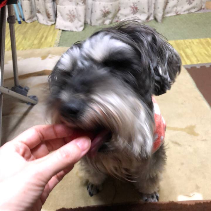 431e9813 8014 4e6b b52b 96ba88405ec5 1551435721326