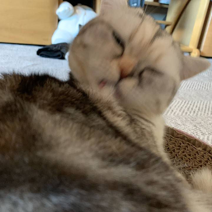 431ea29c 2169 430d 8fe6 1d033057ebe1 1705471272385